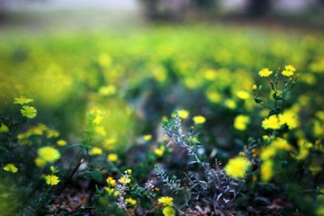 IMG_4335_副本.jpg