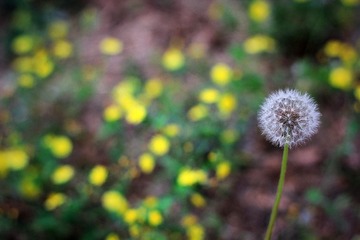 IMG_4294_副本.jpg