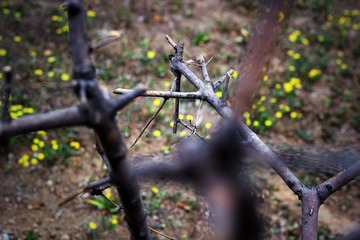 IMG_4349_副本.jpg