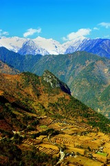 IMG_0395_副本.jpg