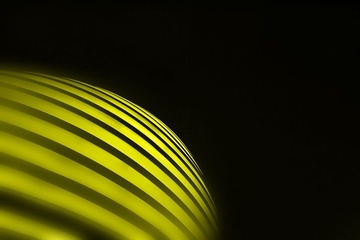 IMG_7544-1