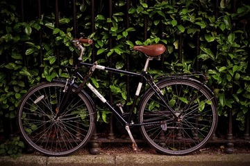 DSCF4549.jpg