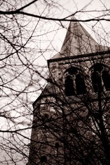 DSCF2761.jpg