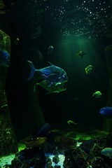 DSCF6056.jpg