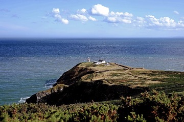 DSCF6656.jpg
