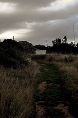 DSCF6755.jpg
