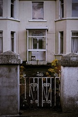 DSCF6796.jpg