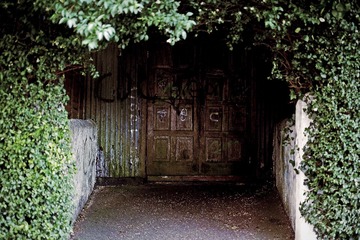 DSCF6809.jpg