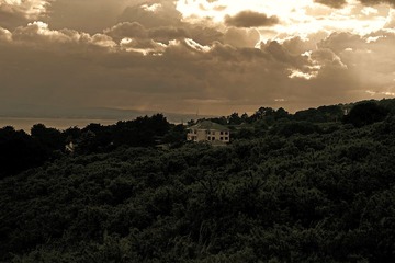 DSCF6711.jpg