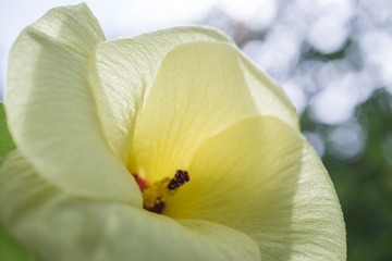 _DSC7967A