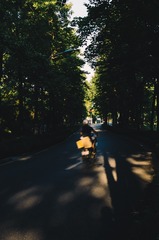 _DSC8687A