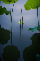 _DSC7970B