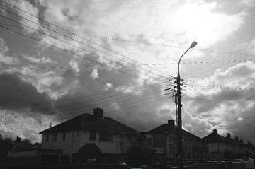 DSC02249 (1).jpg