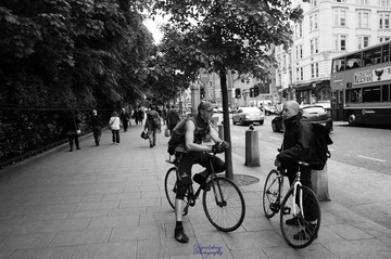 DSC02201.jpg