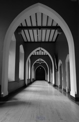DSC01750.jpg