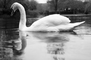 DSC00810.jpg