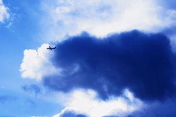 DSC00695 (1).jpg