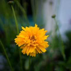 DSC02532.jpg