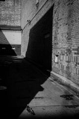DSC02555.jpg