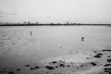 _DSC2618.jpg