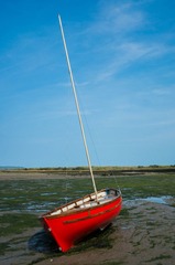 _DSC2611.jpg