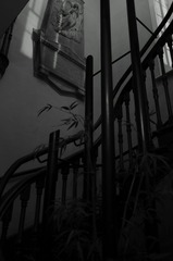DSC03985.JPG