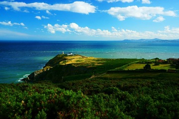 DSC03884 (1).JPG