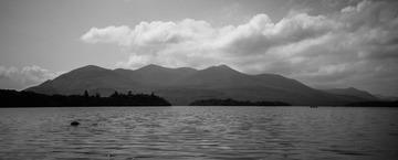 DSC03381.jpg