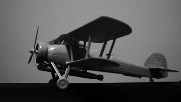 DSC04169 (1).JPG