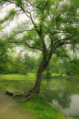 IMGP0195.jpg