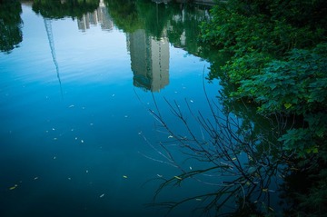 IMGP0380.jpg