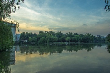 IMGP0393.jpg