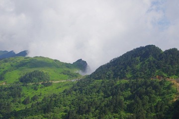 IMGP0804.jpg