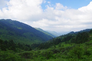 IMGP0831.jpg