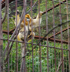 IMGP0866.jpg