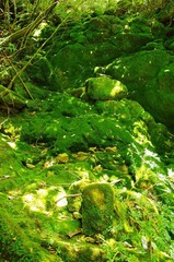 IMGP0930.jpg
