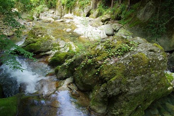 IMGP0949.jpg
