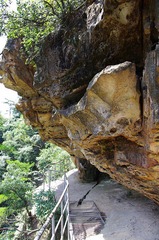 IMGP0418.jpg