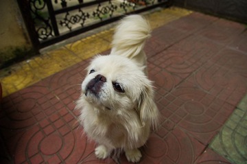 IMGP1166.jpg