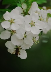 IMGP2824.jpg