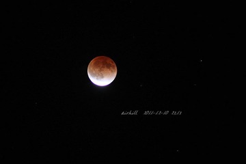 IMG_6484.jpg