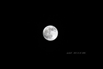 IMG_6350.jpg