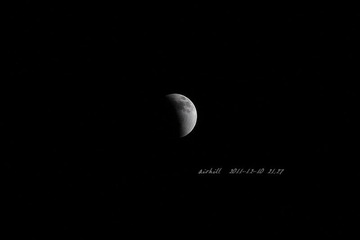 IMG_6375.jpg
