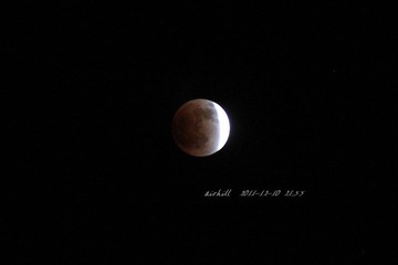 IMG_6393.jpg