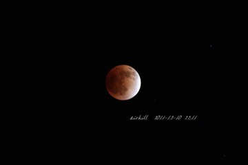 IMG_6425.jpg