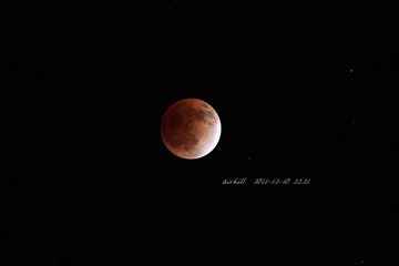 IMG_6438.jpg