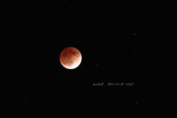 IMG_6460.jpg