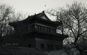 IMG_0399.jpg