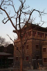 IMG_0418.jpg