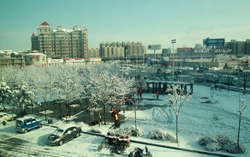IMG_0927.jpg